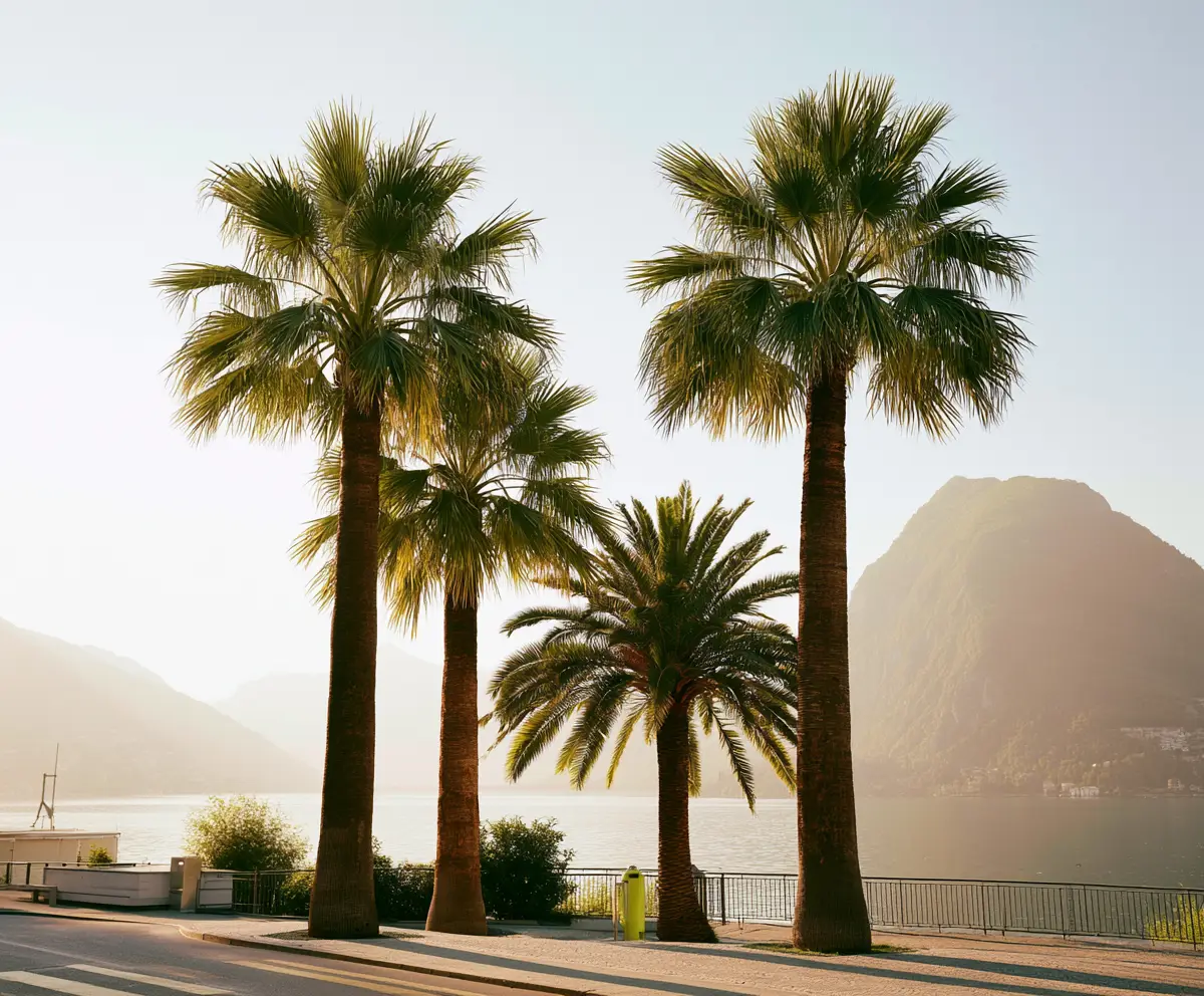Zuhause im Tessin, von Lugano bis Mendrisio.