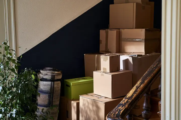 Cajas de mudanza, una alfombra enrollada y una planta en la escalera de un edificio antiguo