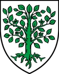 Stemma di Fey