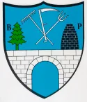 Escudo de Brot-Plamboz